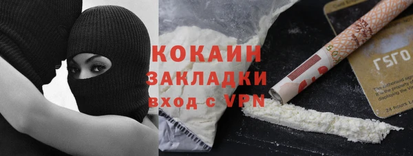 ПСИЛОЦИБИНОВЫЕ ГРИБЫ Михайловка