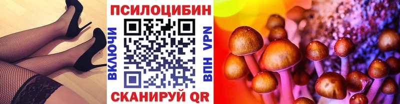 Галлюциногенные грибы Cubensis  Петрозаводск 